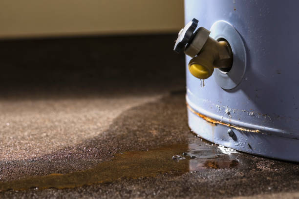 Best Flooded house restoration  in Lazy Mountain, AK