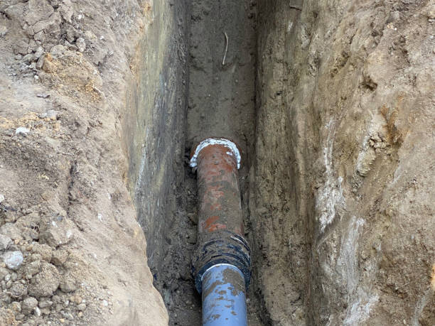 Best Professional water damage repair  in Lazy Mountain, AK