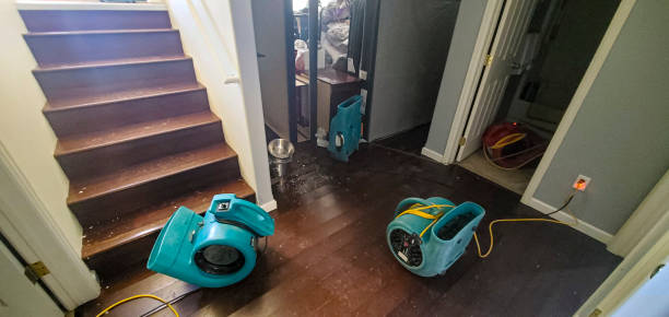 Professional Water damage restoration in Lazy Mountain, AK