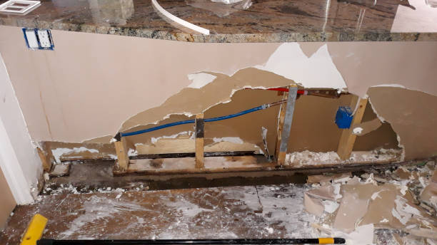 Best Water damage restoration experts  in Lazy Mountain, AK