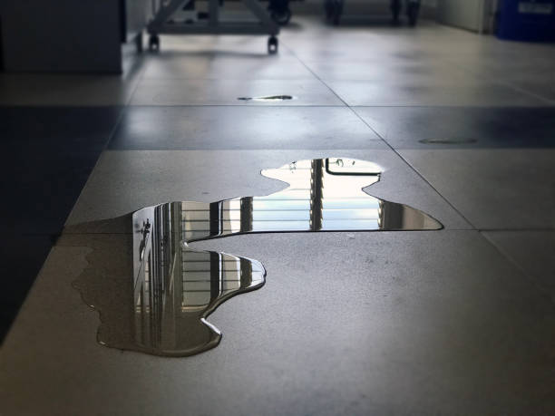 Best Water damage restoration near me  in Lazy Mountain, AK