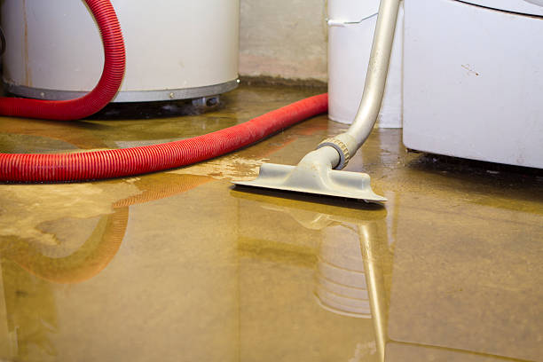 Best Flooded house restoration  in Lazy Mountain, AK