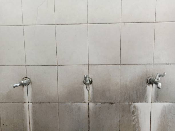 Best Flood restoration services  in Lazy Mountain, AK