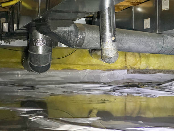 Best Flood restoration services  in Lazy Mountain, AK