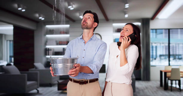 Best Ceiling water damage repair  in Lazy Mountain, AK